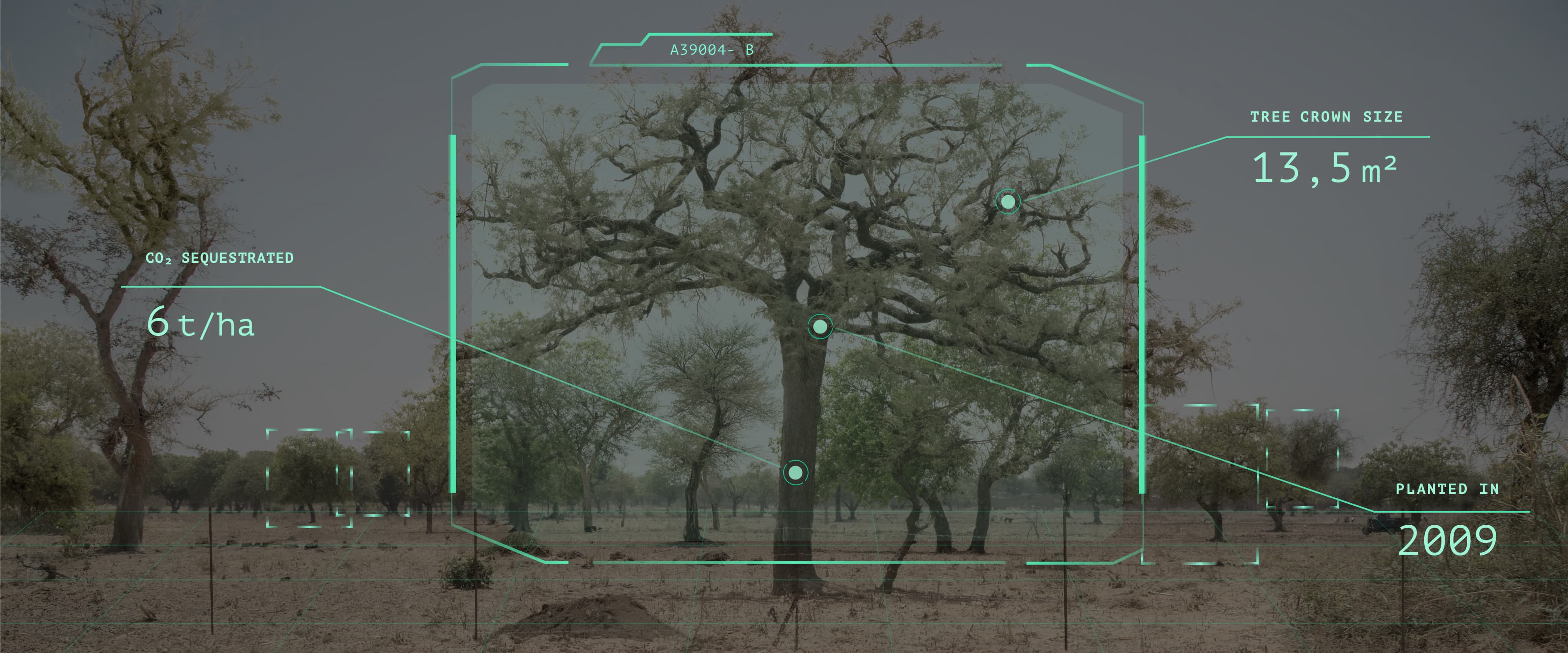 Image AI 3