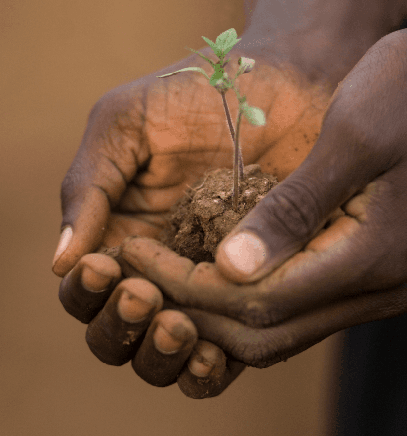 Une solution fondée sur la nature